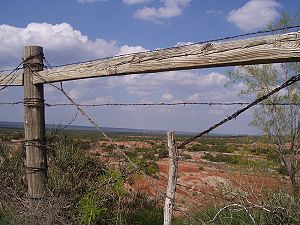 The dry plains of West Texas, have often been divided up into tracts of land divided by barbed wire fences. The restriction of the "Wide Open Spaces," in the late 19th and early 20th centuries, led to a sense of loss expressed by songs such as Don't Fence Me In 
